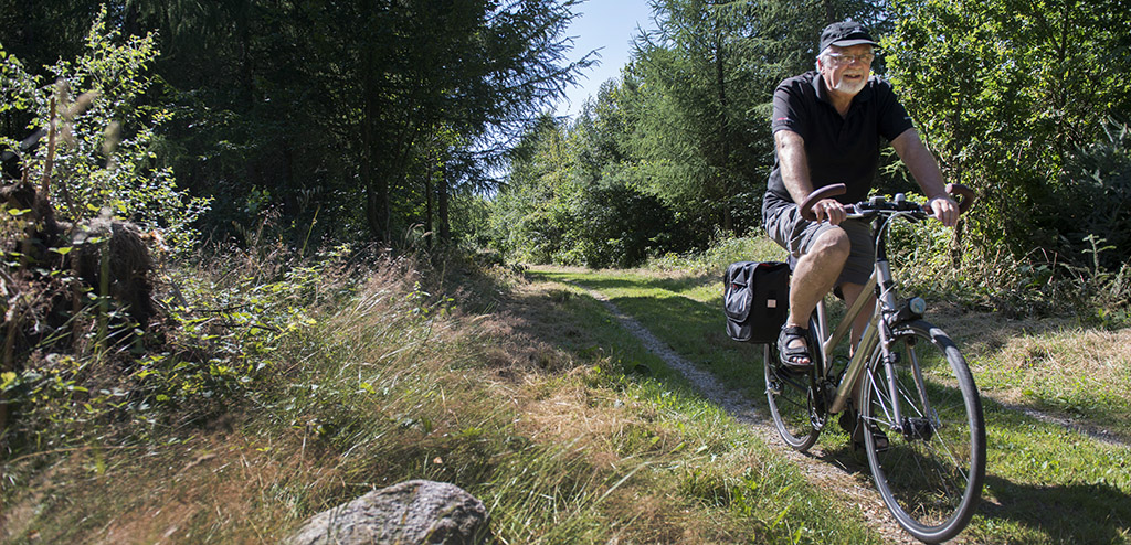 Cykelture - selvguidede ture i Vejen området