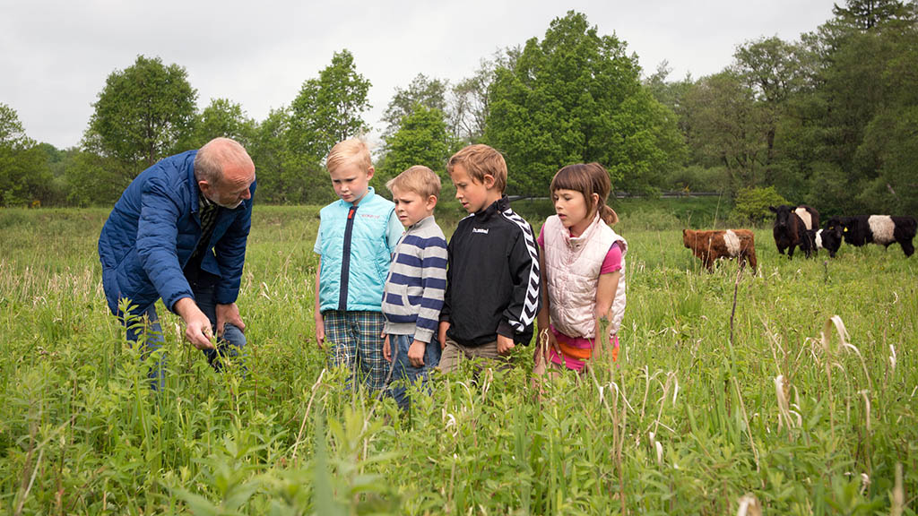 Guidet tur i naturen
