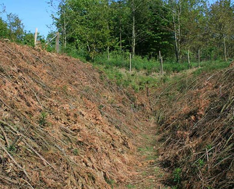Pansergraven ved Lintrup
